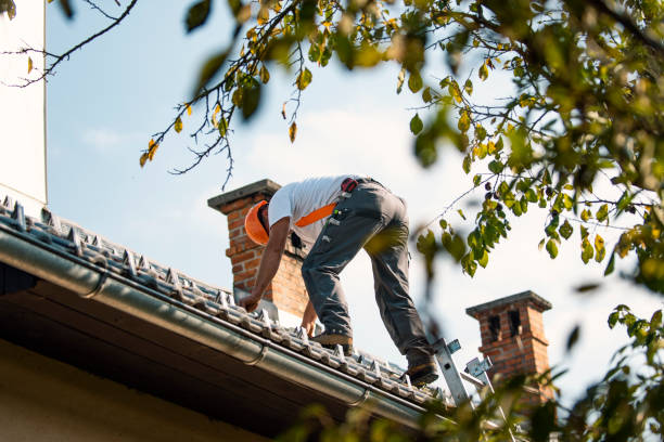Best Roof Replacement Cost  in Bolivar, OH