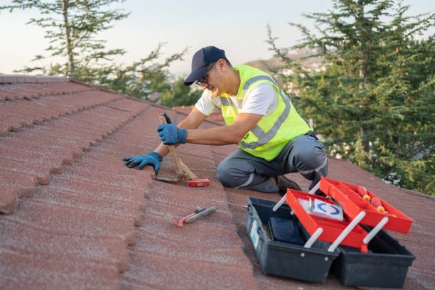 Roof Gutter Cleaning in Bolivar, OH