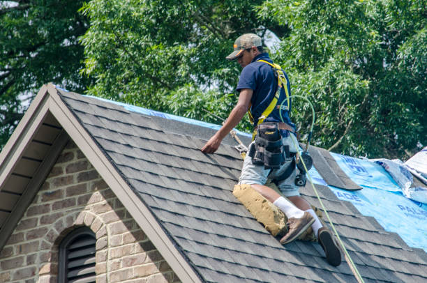Best Storm Damage Roof Repair  in Bolivar, OH